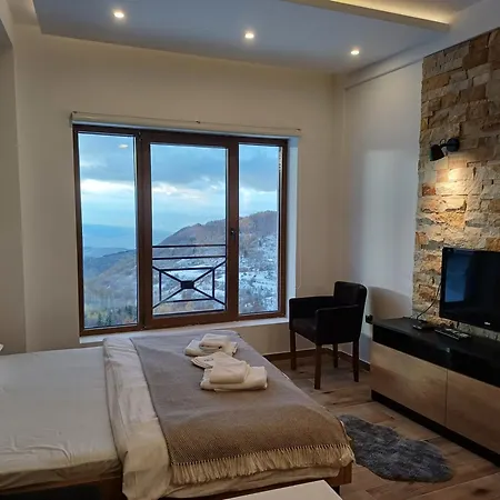 Perfect View N52a Apartment Kopaonik